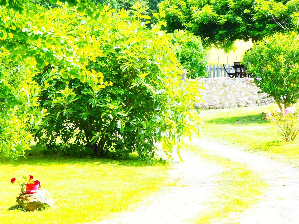 La Belle Verte Grignols  ภายนอก รูปภาพ