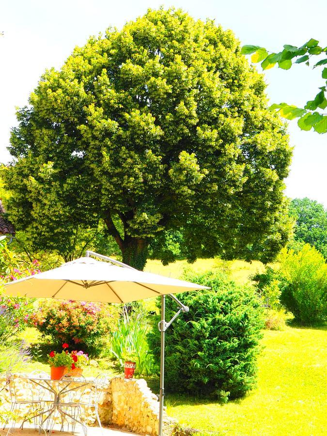La Belle Verte Grignols  ภายนอก รูปภาพ