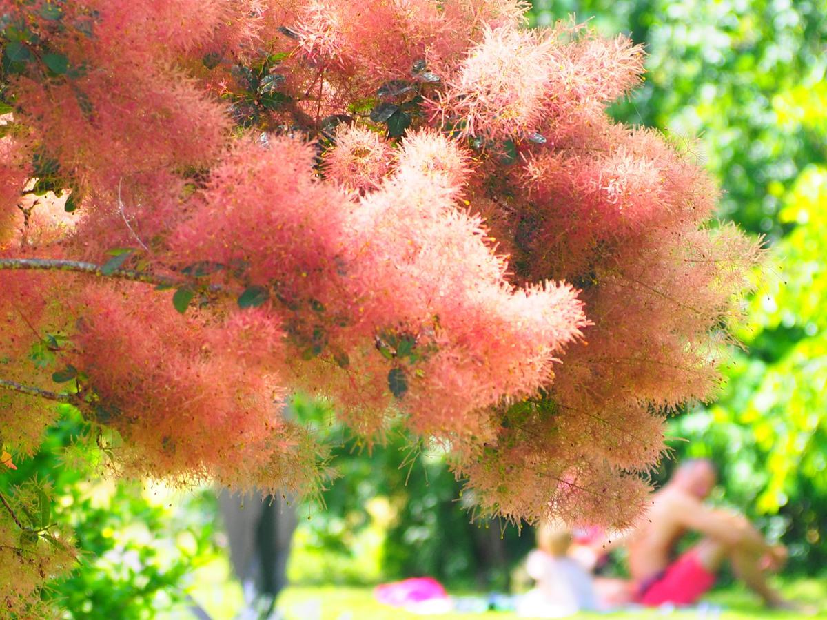 La Belle Verte Grignols  ภายนอก รูปภาพ